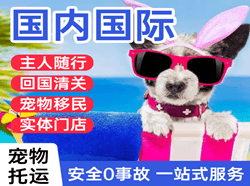 临沧博尚航空货运国际宠物托运 【国